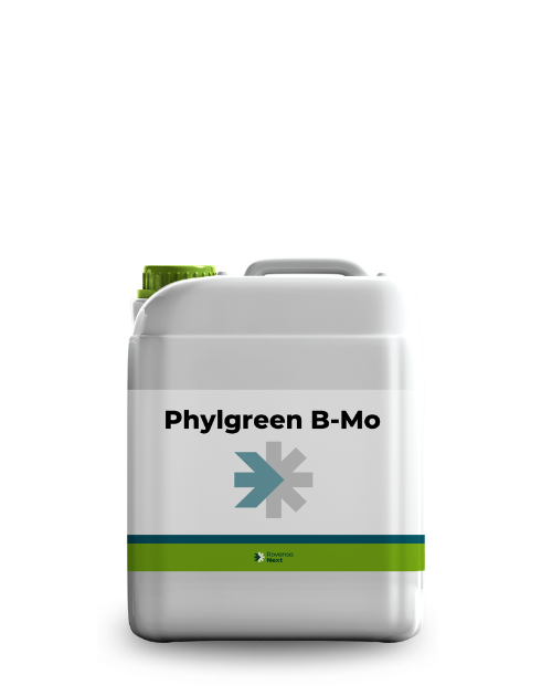 PhylgreenBMo 5L_website