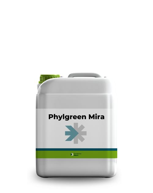 PhylgreenMira 5L_website