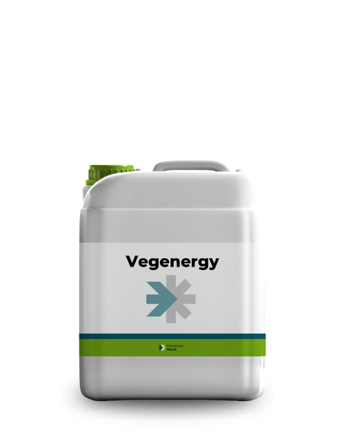 Vegenergy 5L_website