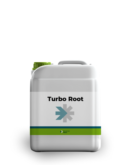 Turbo Root 5L