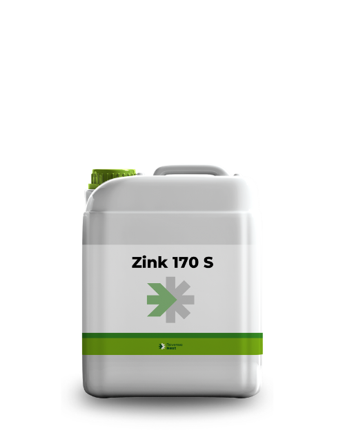 Zink 170S_5L_website