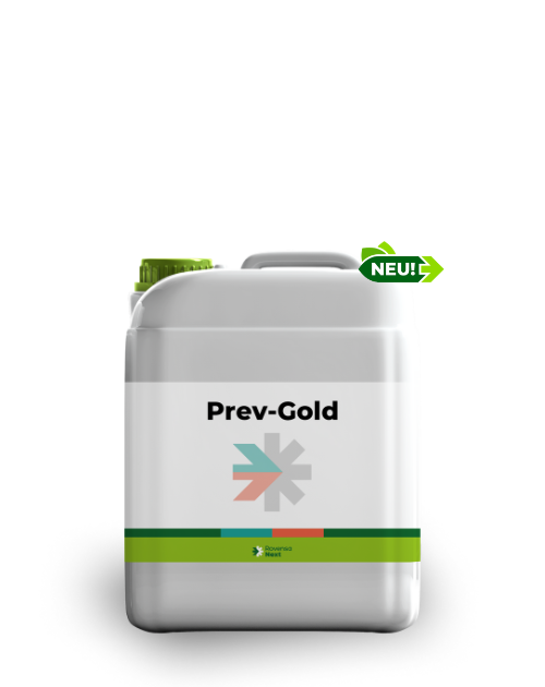 Prev Gold 5L