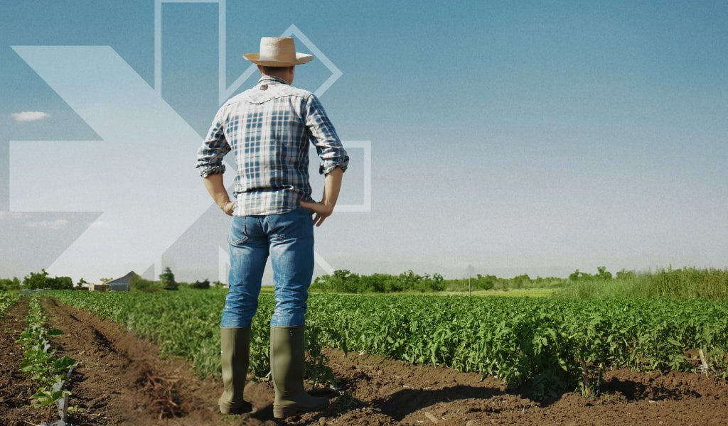 Blog article cover image Blog article cover image